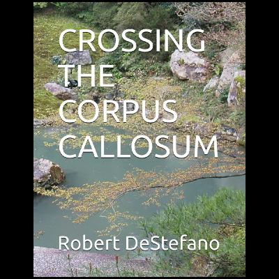 Robert DeStefano Robert DeStefano