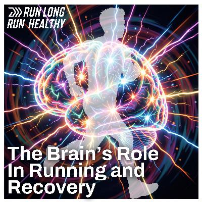 The Hidden Role The Brain Plays In Running and Recovery (New Research) The Hidden Role The Brain Plays In Running and Recovery (New Research)