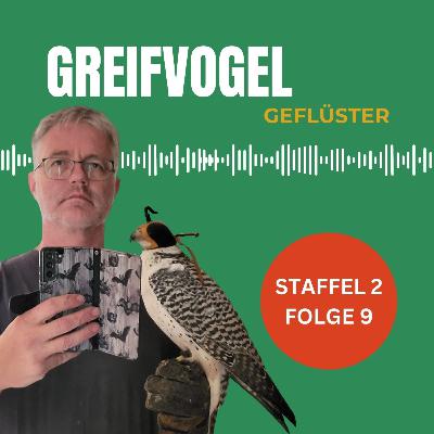 Beizjagd auf Nilgänse - Im Gespräch mit Falkner Orlik Frank