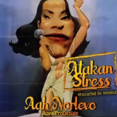 aah norlevo