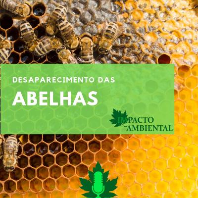 Ambientalidades 002 - Desaparecimento das abelhas.