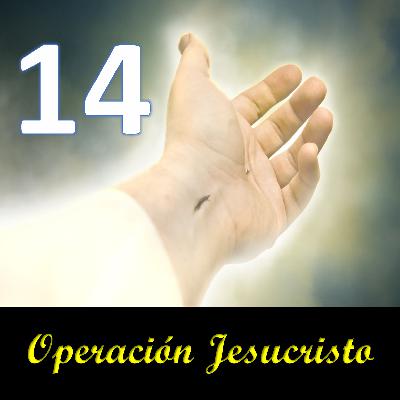 Audiolibro "Operación Jesucristo" Capitulo 14