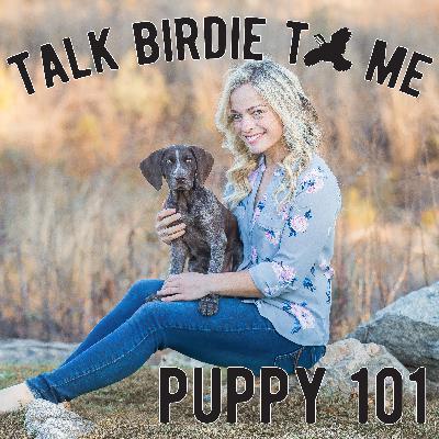 3 | Puppy 101 3 | Puppy 101