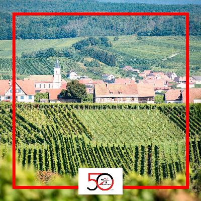 9- Le développement durable selon les Mousquetaires