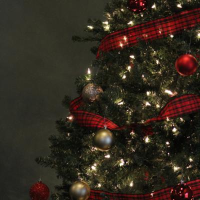 Advent day 4 bible reading plan/Christmas music worship.