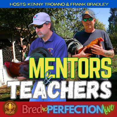 Ep248 - Good Mentor vs Bad Mentor - The Tony vs. Ray Factor
