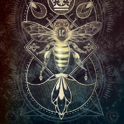 Read (EPUB) Book Talisman Oracle by Nora Paskaleva