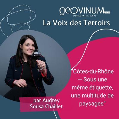 Côtes-du-Rhône — Sous une même étiquette, une multitude de paysages Côtes-du-Rhône — Sous une même étiquette, une multitude de paysages