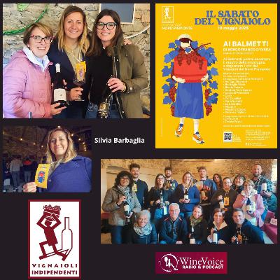 Le Terre del Vino: FIVI - Sabato del Vignaiolo - SILVIA BARBAGLIA