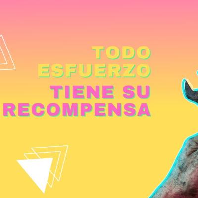 Sabiduría de la Biblia sobre nuestra ocupación Sabiduría de la Biblia sobre nuestra ocupación