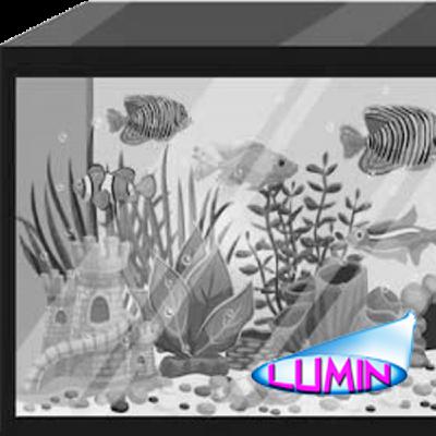 The Aquarium