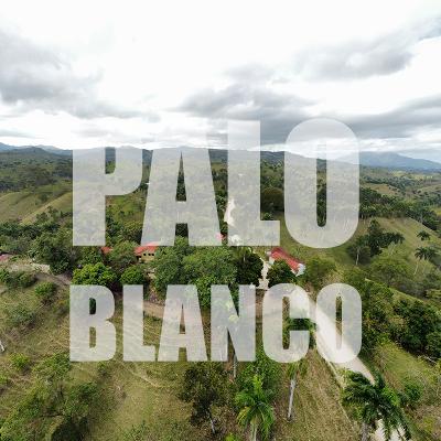 "¡Doble Cascada! Un espectáculo natural oculto en Palo Blanco"