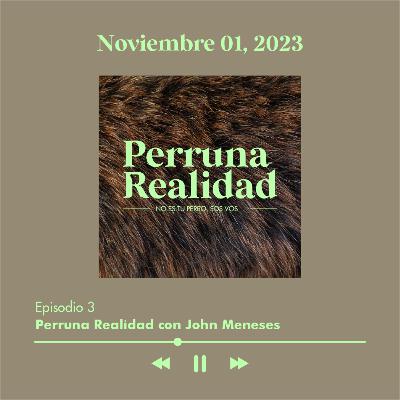 Perruna Realidad #3: John Meneses