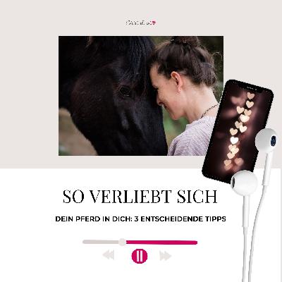 Vertrauen aufbauen: 3 Tipps für echte Pferdefreundschaft Vertrauen aufbauen: 3 Tipps für echte Pferdefreundschaft