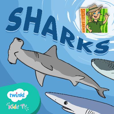 Sharks Quiz for Kids