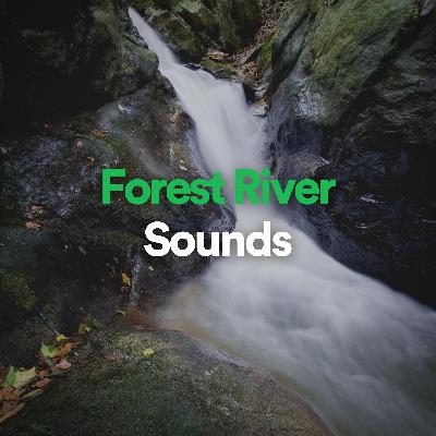 Forest River Sounds - 1 hour for meditation, studying & relaxation