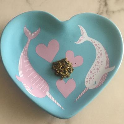 Episode 14: The Memorial Episode