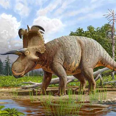 Lokiceratops, the Horned Face of Loki