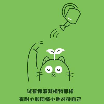 E13 如何以身体为锚点，扎根生活，绽放生命力？