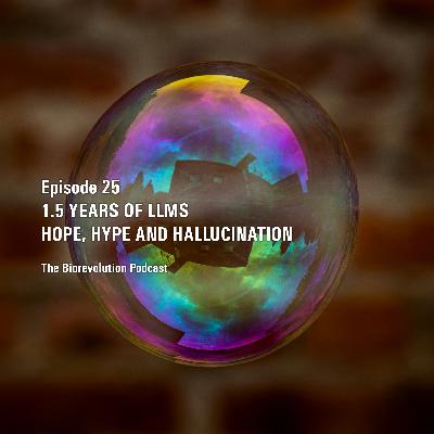 Update on LLMs - hope, hype and hallucination