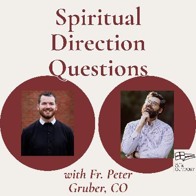 Things to Know When Seeking Spiritual Direction with Fr. Peter Gruber // Episode 260