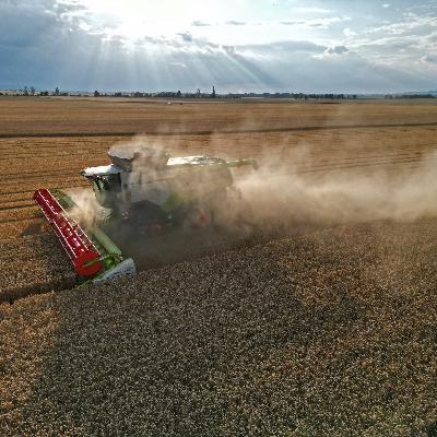 Landwirtschaft – Wie sichern wir die Ernährung?