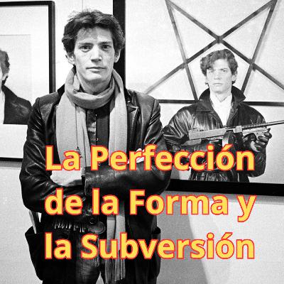 Robert Mapplethorpe: Secretos de Composición, Luz y la Perfección de la Forma