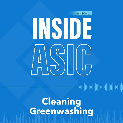 3. Cleaning Greenwashing