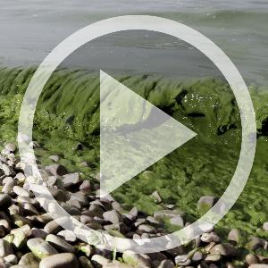 How will climate change affect us? How will climate change affect us?