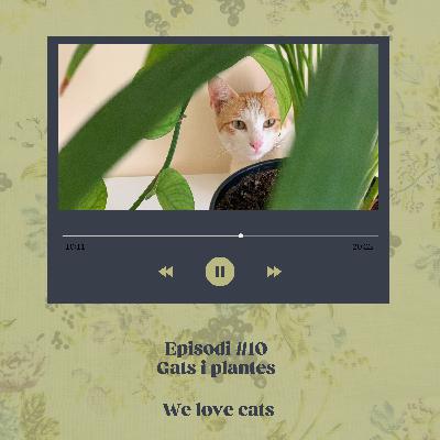 Episodi #10 - Gatetes i plantes 🐈 🌿