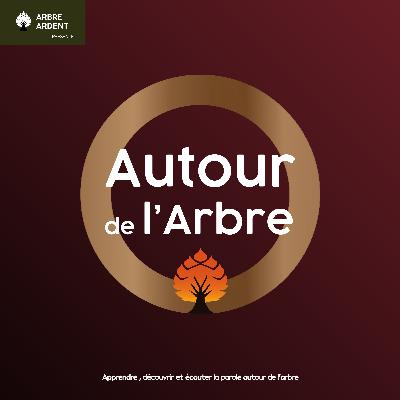 EP #11 - Patience & Chemin