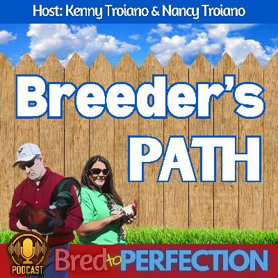 Ep278 - Inside the Mind of a Dedicated Breeder: Passion, Purity & the Path to Perfection Ep278 - Inside the Mind of a Dedicated Breeder: Passion, Purity & the Path to Perfection