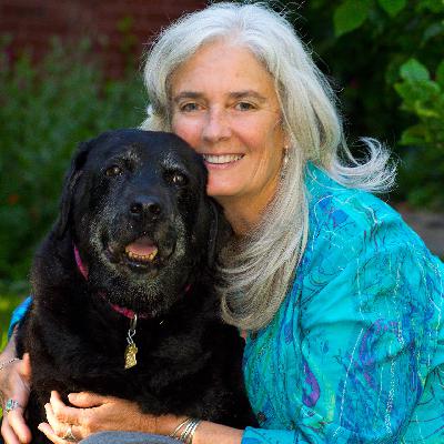 How to manage staff conflict at your nonprofit - Ep59 How to manage staff conflict at your nonprofit - Ep59