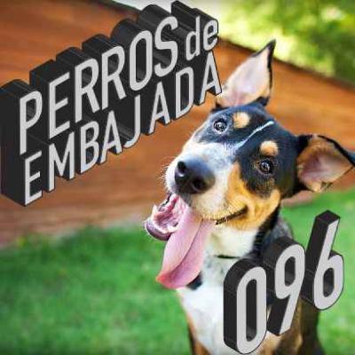 096 Conor McGregor para presidente. USA ataca Yemen y liberan documentos sobre JFK
