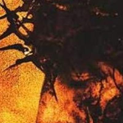 El Siervo del Señor, del Domingo de Ramos al Miércoles Santo.