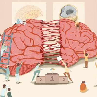 抵抗“脑腐蚀”：一个神经科学科普团队的探索｜新闻实验室49