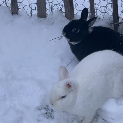 3 Staffel🥳🥳🥳