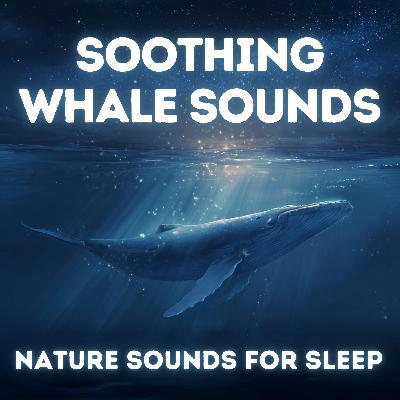 Soothing Whale Sounds - Nature Sounds for Deep Sleep