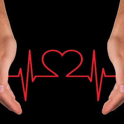 PROMOVEMOS UNA VIDA SALUDABLE desde los aportes de nuestra biodiversidad PROMOVEMOS UNA VIDA SALUDABLE desde los aportes de nuestra biodiversidad