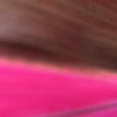 The Institute of Spectra-Sonic Sound 2 May 2020