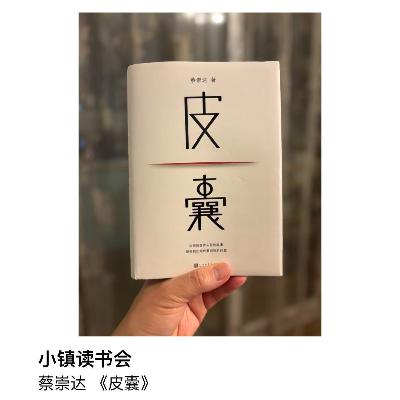 选读 蔡崇达 《皮囊》