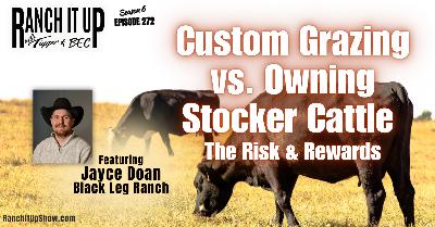 Custom Grazing Vs. Owning Stocker Cattle.  The Risk & Reward
