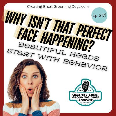 Why Isn't That Perfect Face Happening? Ep217