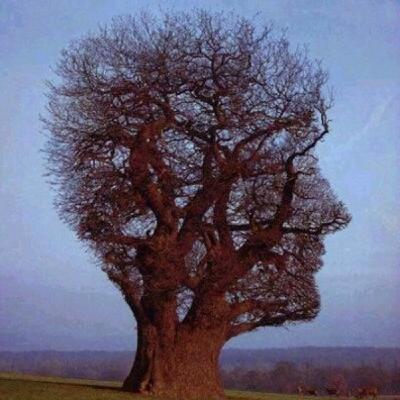 Episodio 3 - 7 Consejos Para Manejar Tus Transiciones Profesionales Efectivamente