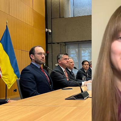 Ukraine won’t trade land for peace without security guarantees: Ukrainian MP Ukraine won’t trade land for peace without security guarantees: Ukrainian MP