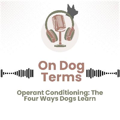 Operant Conditioning: The Four Ways Dogs Learn