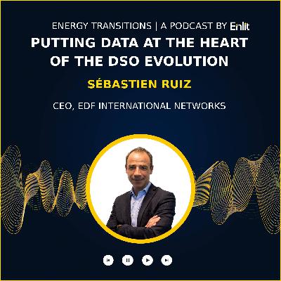 Putting data at the heart of the DSO evolution Putting data at the heart of the DSO evolution