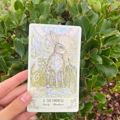 Journey of the Tarot: The Empress