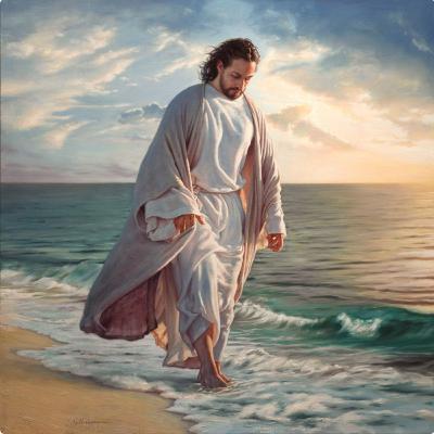 Sal que preserva, luz que ilumina: ser Cristo que passa Sal que preserva, luz que ilumina: ser Cristo que passa