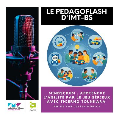 #26 - MindScrum : apprendre l'agilité par le jeu sérieux avec Thierno Tounkara